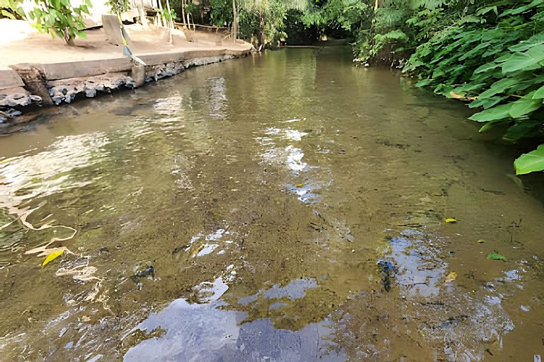 Apto no Park Veredas com acesso ao rio