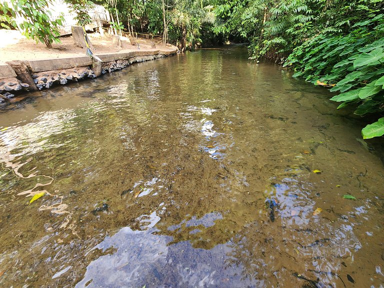 Apto de 2 Quartos no Park Veredas - Acesso ao rio